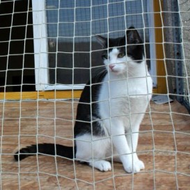 1939997_690656640994914_2095686612_n1-273x273