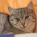 12314602_1026046864122555_1213634290142537568_o