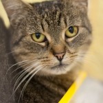 12322964_1026046907455884_6683440995164670555_o