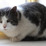 IMG_4703b
