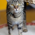 IMG_1793 (1)