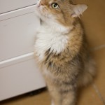 IMG_9656