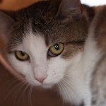 IMG_9967