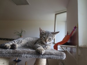 IMG_5247