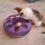 14339937_1460034784013400_1853803176_o