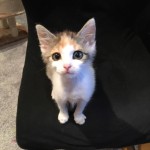 14360488_1460033344013544_909556058_o