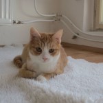 IMG_5787