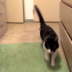 IMAG1379_1_1