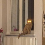 17350910_10212369501502017_1034570300_n