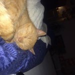 17392890_10212369501542018_637839511_n