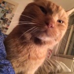 17409969_10212369501582019_1302745896_n