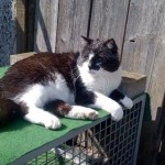 17505625_1413476232042438_341584116_n