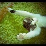 18643504_10207099057153519_1336721390_n