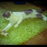 18644236_10207099055633481_1174422716_n