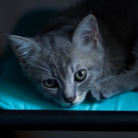 18742574_10212006203023869_1387793640_o