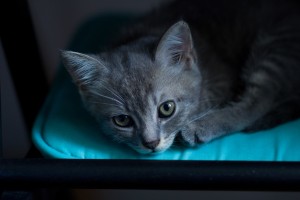 18742574_10212006203023869_1387793640_o