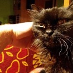 Boženka v novém domově