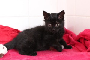 22815540_1625630034164232_1876984824449403926_n