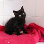 22852030_1625629877497581_6595891371549347853_n