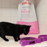 s dárkem z Kočičího přání