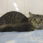 19-1-2018, karanténa po přijetí