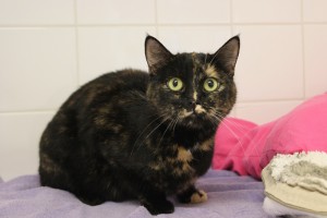 IMG_8105