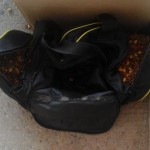 31713412_1814090021984898_6737213041990959104_n