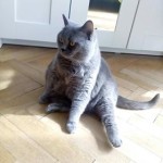 33771226_1903728949637510_2653895442210750464_n