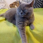 33806438_1903728962970842_3812549534156849152_n