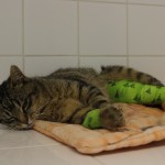 vojta den po operaci  14-5-2018