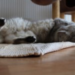 Tomina a šanta 27-5-2018