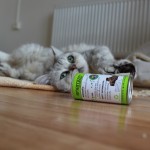 Tomina a šanta 27-5-2018