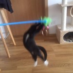 dálňa v novém domově