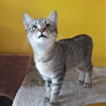 20201205_143955_resized