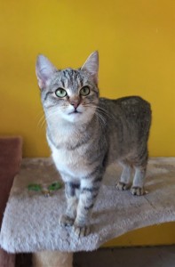 20201205_144010_resized