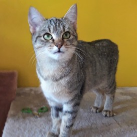 20201205_144010_resized