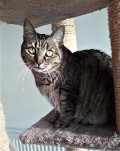 20201205_124806_resized