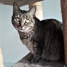 20201205_124806_resized