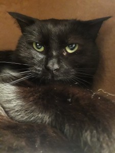 20201205_144747_resized_1