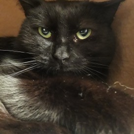 20201205_144747_resized_1