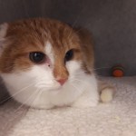 20201206_105526_resized