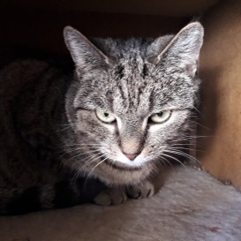 20201206_121450_resized_1