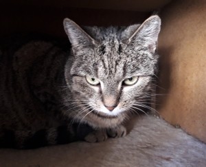 20201206_121450_resized_1