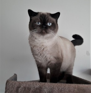 20201206_122136_resized