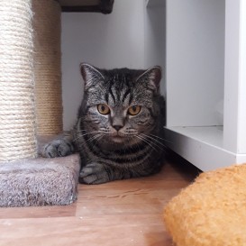 20201206_122525_resized