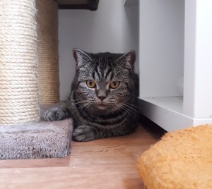 20201206_122525_resized