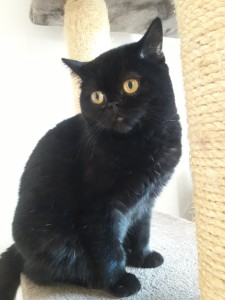 20201206_122636_resized