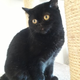 20201206_122636_resized