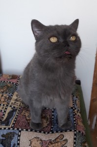 20201206_123328_resized