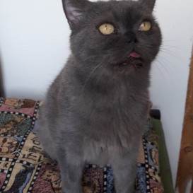 20201206_123328_resized